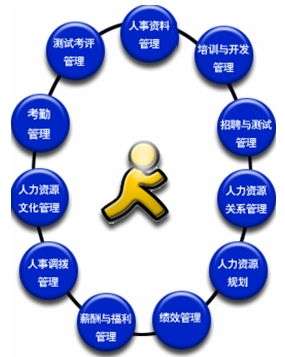 人力资源管理 本科