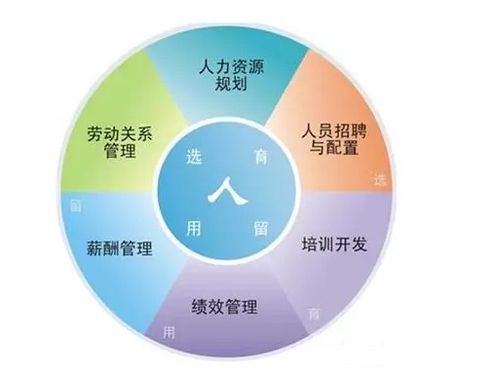 申请日本人力资源专业不得不了解的知识