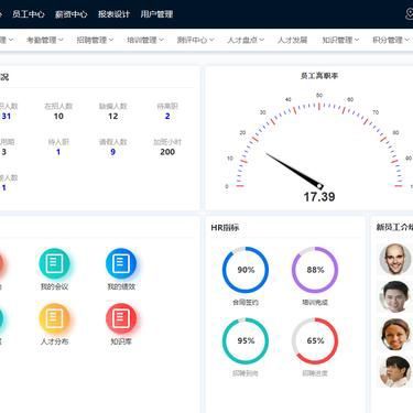 论人力资源管理模式