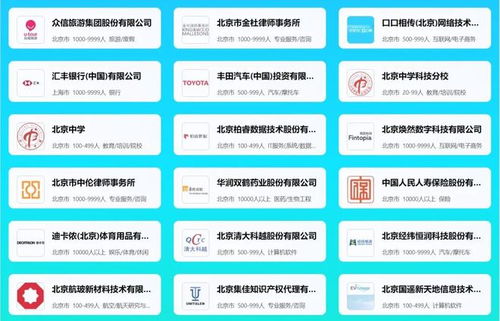 50 名企名校 1000 优质岗位 就在本周五朝阳