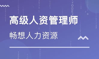 珠海市畅想人力资源培训