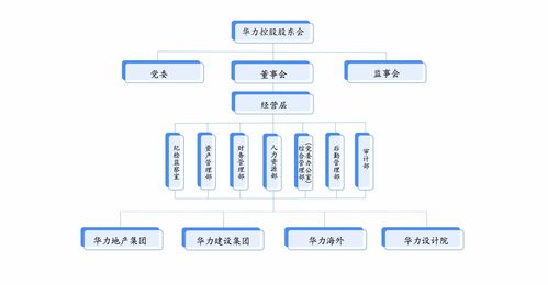 组织架构 中安华力