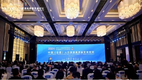 2024 中国 合肥 人力资源高质量发展论坛成功举办