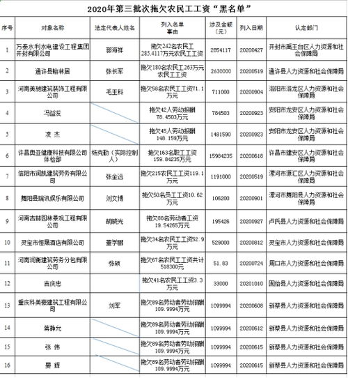 河南公布一批拖欠农民工工资 黑名单 这些 老赖 上榜