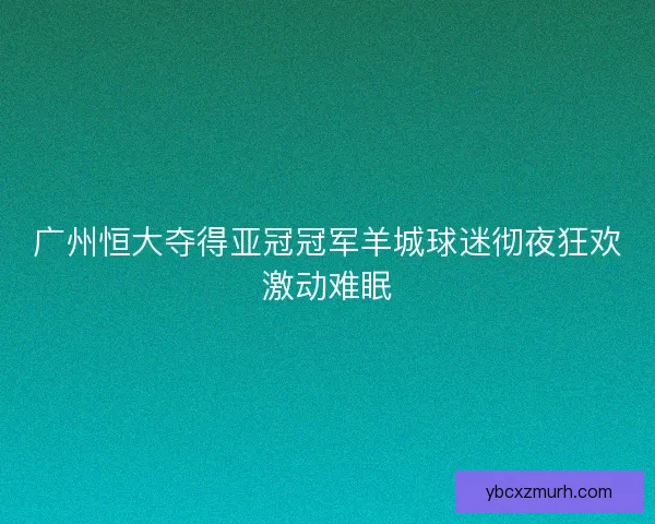 广州恒大夺得亚冠冠军羊城球迷彻夜狂欢激动难眠
